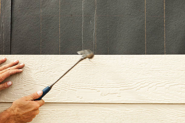 Best Historical Building Siding Restoration  in Mound, MN